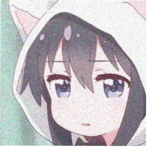 观众雪夜的头像